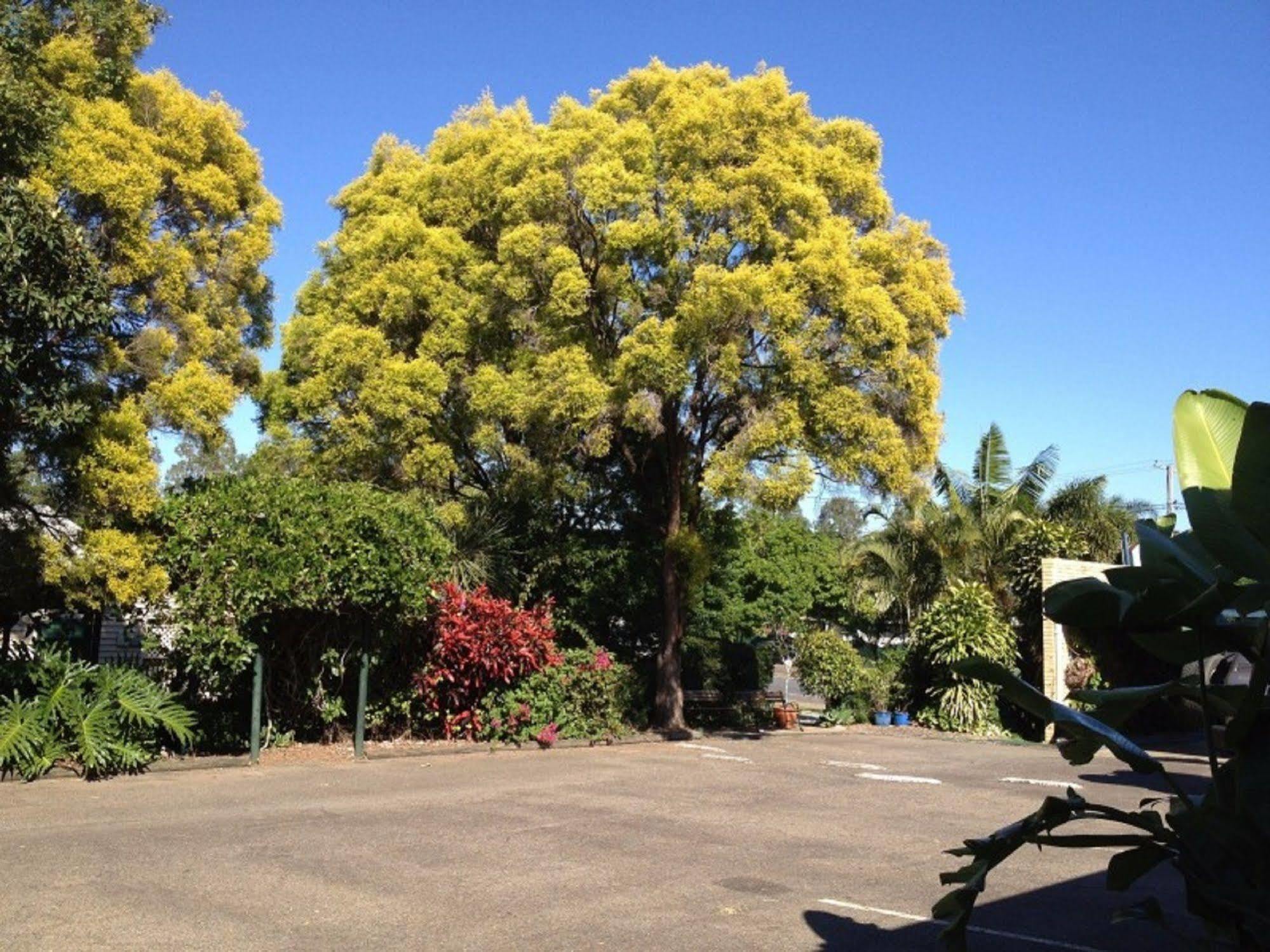 Ipswich City Motel Bagian luar foto
